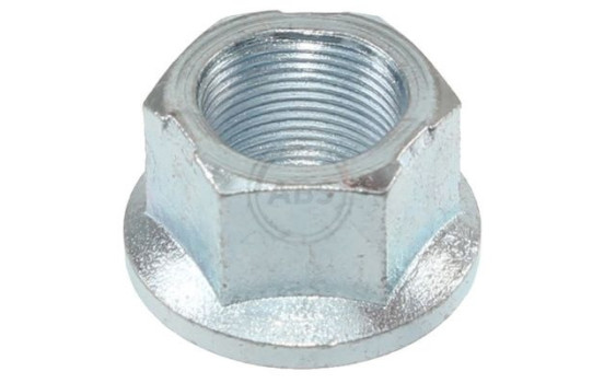 Tuerca del cubo de la rueda