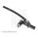 Cilindro maestro, embrague ADM53434C Blue Print, Miniatura 5