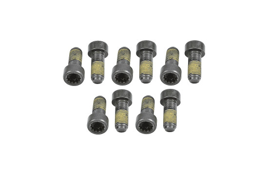 Juego de tornillos, volante 411 0161 10 LUK
