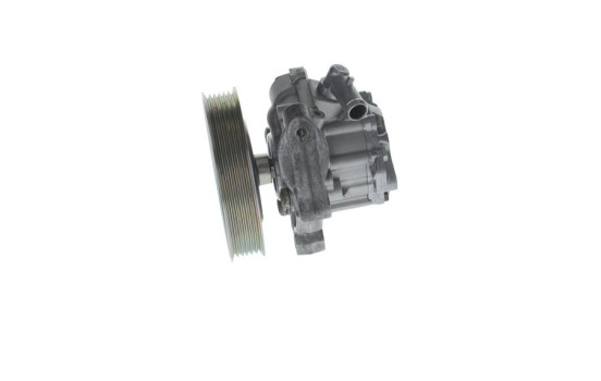 Bomba de dirección, Imagen 6