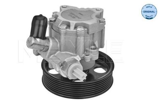 Bomba servo, Imagen 2