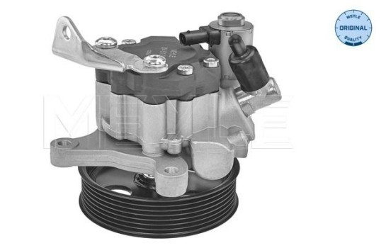 Bomba servo, Imagen 2