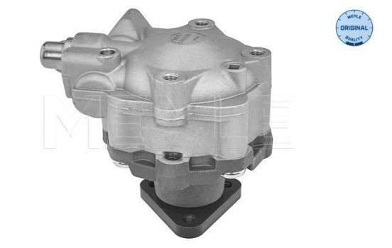 Bomba servo, Imagen 2