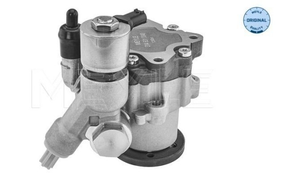 Bomba servo, Imagen 2