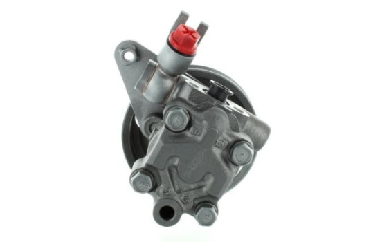 Bomba servo, Imagen 2