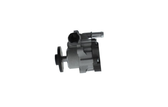 Bomba servo, Imagen 2