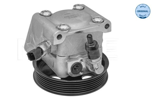 Bomba servo, Imagen 2