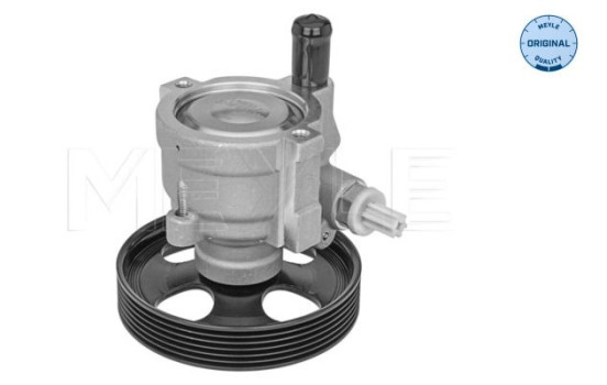 Bomba servo, Imagen 2