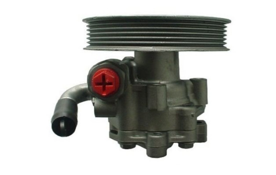 Bomba servo, Imagen 3