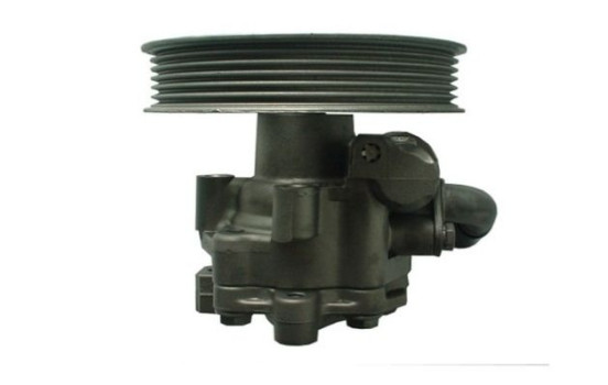 Bomba servo, Imagen 4