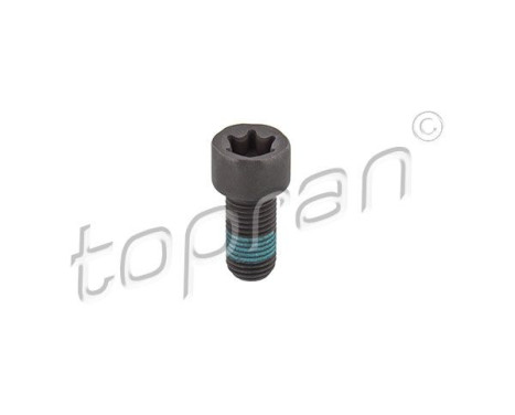 Tornillo del volante