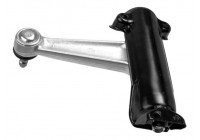 Brazo de control, suspensión 11004 02 Lemforder