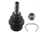 Rótula 10577 Febi ProKit