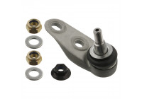 Rótula 36877 Febi ProKit