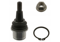 Rótula 40887 Febi ProKit
