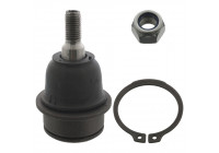 Rótula 41076 Febi ProKit