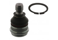 Rótula 41853 Febi ProKit