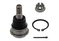 Rótula 42674 Febi ProKit