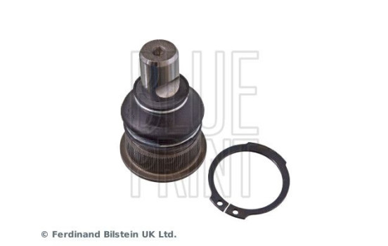 Rótula ADA108609 Blue Print, Imagen 2