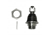 Rótula ADN18694 Blue Print