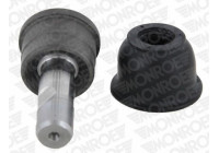 RÓTULA L0024 Monroe