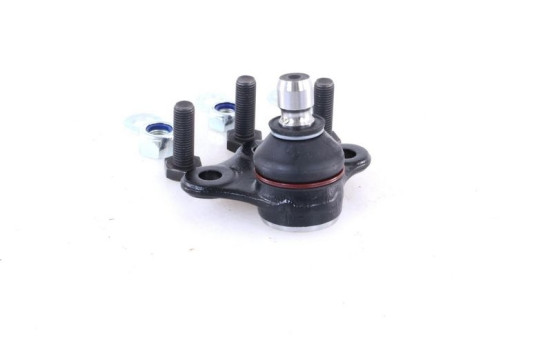 RÓTULA L24535 Monroe, Imagen 4