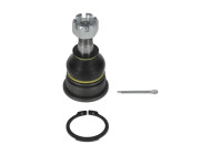 Rótula NI-BJ-0311 Moog