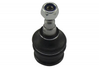 Rótula SBJ-8001 Kavo parts