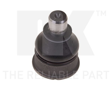 Rótula
