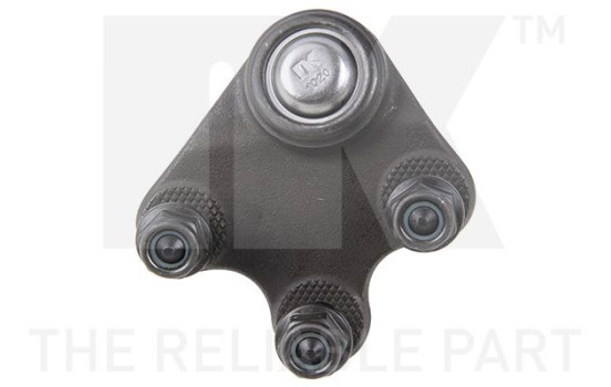 Rótula, Imagen 2