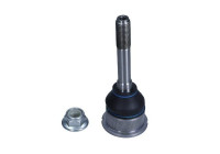 Rótula