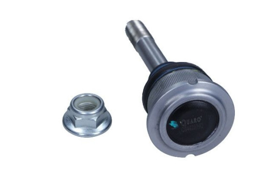 Rótula, Imagen 2