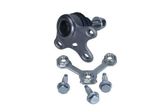 Rótula, Imagen 2
