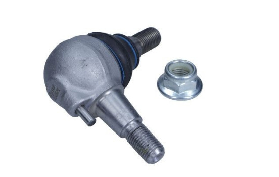 Rótula, Imagen 2