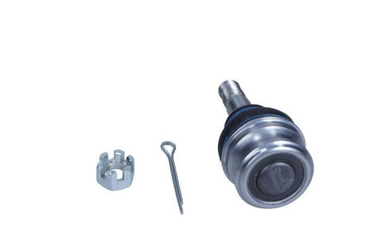 Rótula, Imagen 2