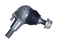 Rótula