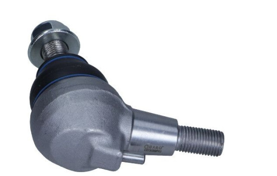 Rótula, Imagen 2