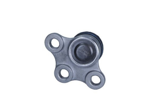 Rótula, Imagen 2
