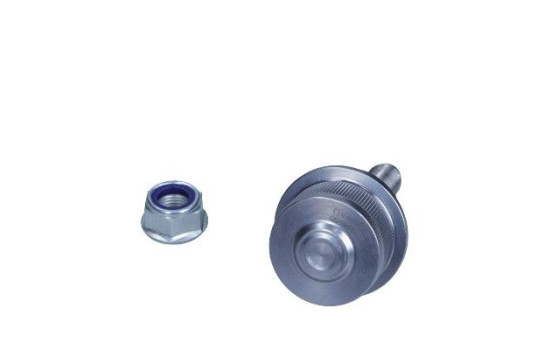 Rótula, Imagen 2