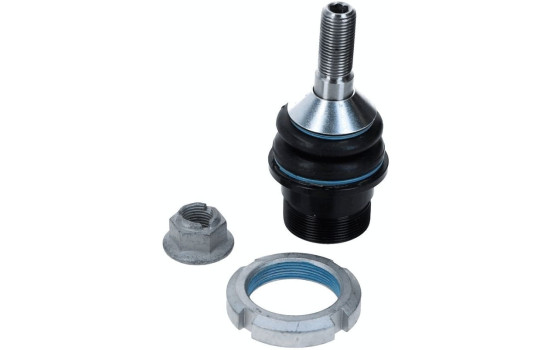 Rótula, Imagen 4