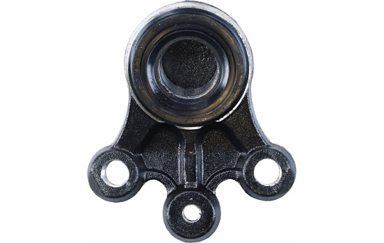 Rótula, Imagen 5