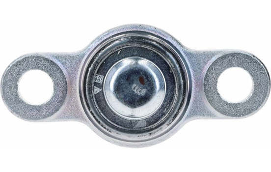 Rótula, Imagen 5