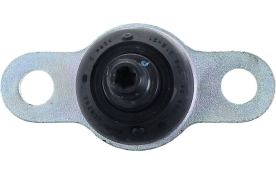 Rótula, Imagen 6