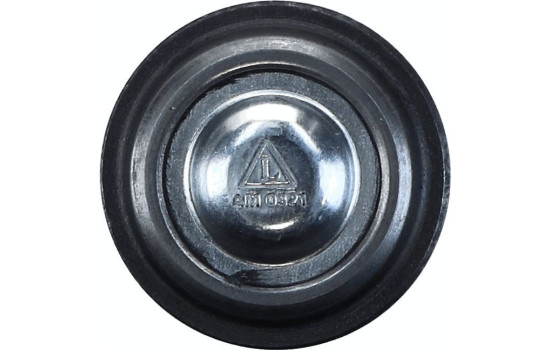 Rótula, Imagen 2