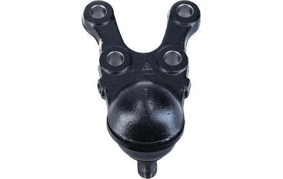 Rótula, Imagen 3