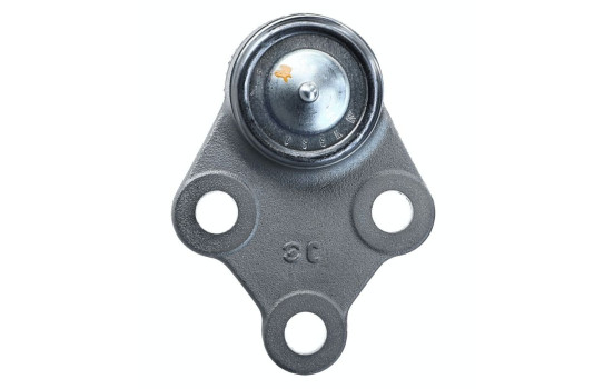 Rótula, Imagen 5