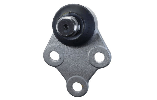 Rótula, Imagen 6