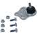 Rótula, Miniatura 3