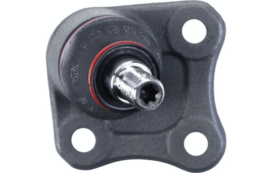 Rótula, Imagen 5