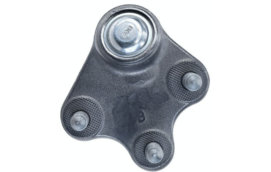 Rótula, Imagen 5